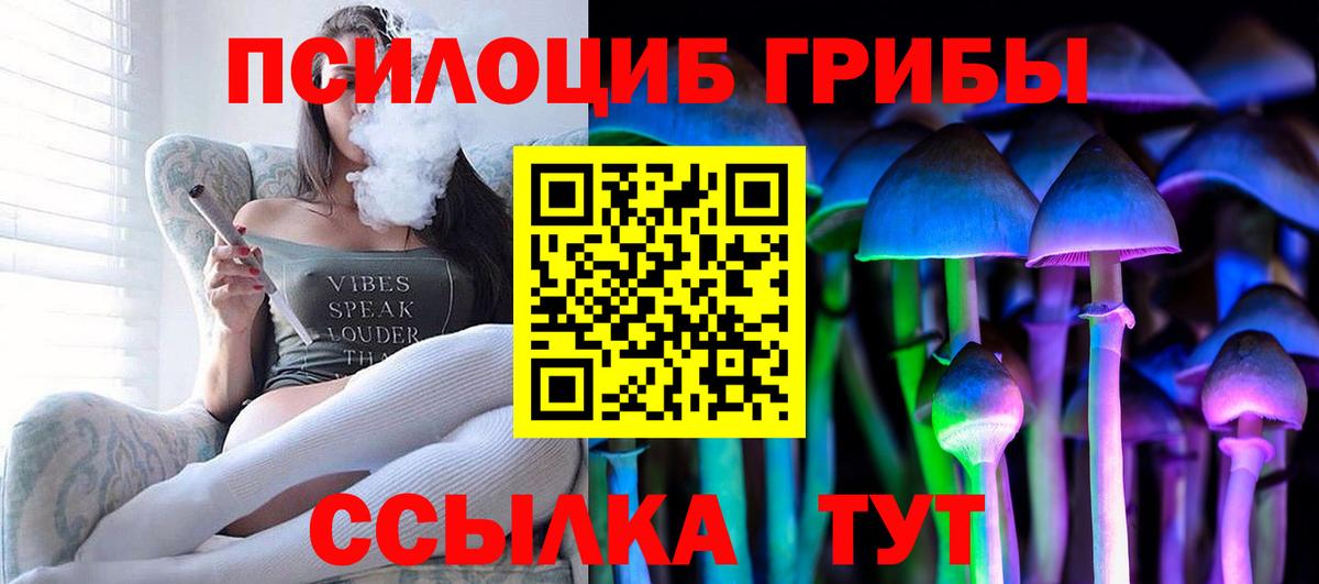 Псилоцибиновые грибы GOLDEN TEACHER Полевской